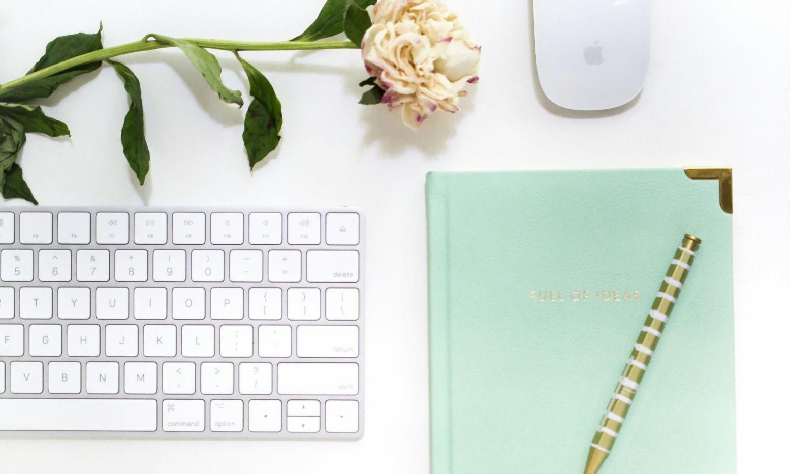 Financial analysis workspace showing investment charts and data visualization tools